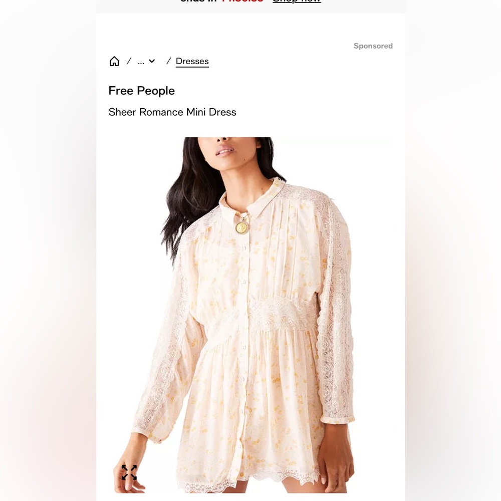 Free people Sheer dress
